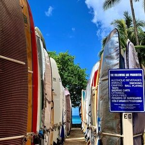 Meet your Posher, Shayla